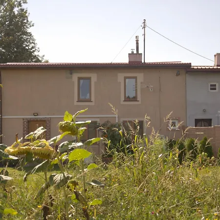 Zielone Wzgorze - Pietro Goscinne