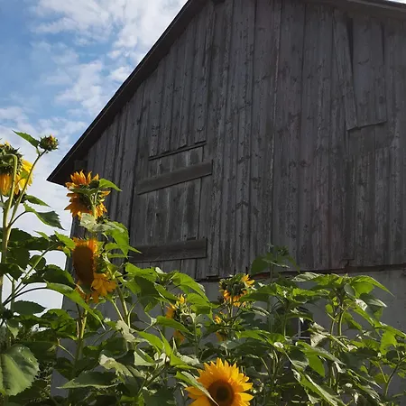 Zielone Wzgorze - Pietro Goscinne B&B Godkowo