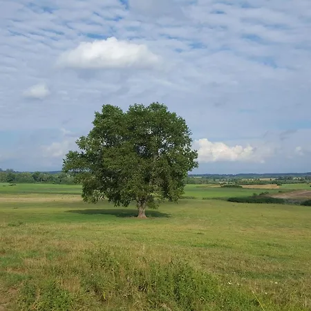 B&B Zielone Wzgorze - Pietro Goscinne Godkowo