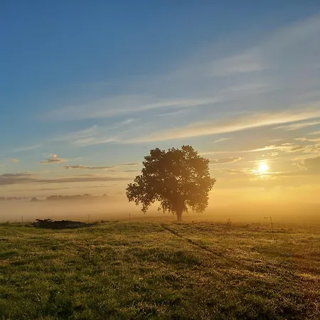 Zielone Wzgorze - Pietro Goscinne 3* Godkowo