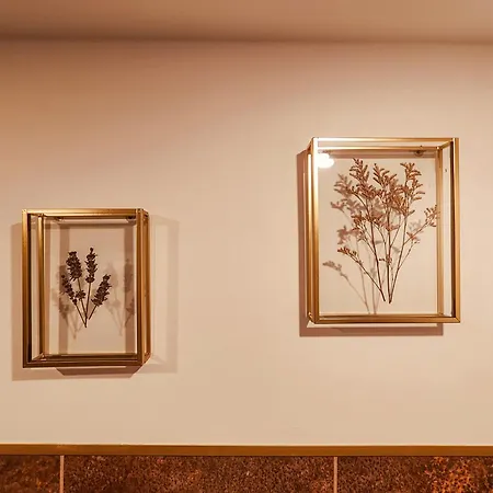 B&B Zielone Wzgorze - Pietro Goscinne 3*