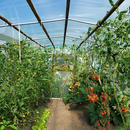 Zielone Wzgorze - Pietro Goscinne B&B 3*