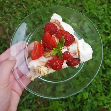 Zielone Wzgorze - Pietro Goscinne B&B