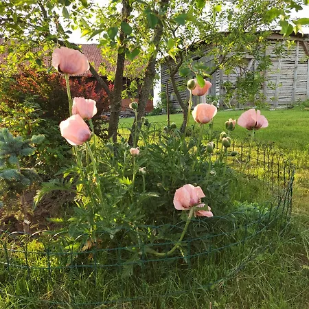 Zielone Wzgorze - Pietro Goscinne B&B 3*