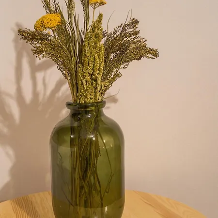 Zielone Wzgorze - Pietro Goscinne B&B Godkowo